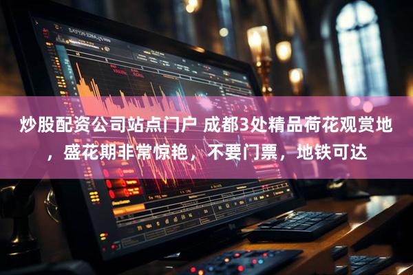 炒股配资公司站点门户 成都3处精品荷花观赏地，盛花期非常惊艳，不要门票，地铁可达